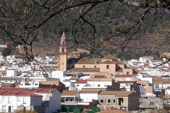 Spend a day in the White Villages from Cadiz