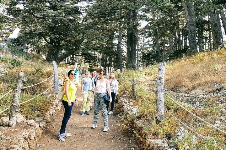 Small-Group Tour with Lunch to Qadisha Valley, Bcharre and Cedars