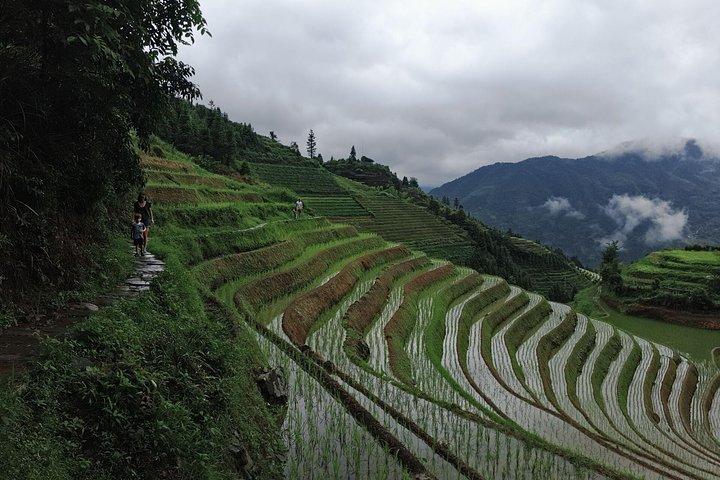 1-Day Longji Terrace Fields-Pingan village Tour with the English Speaking Driver