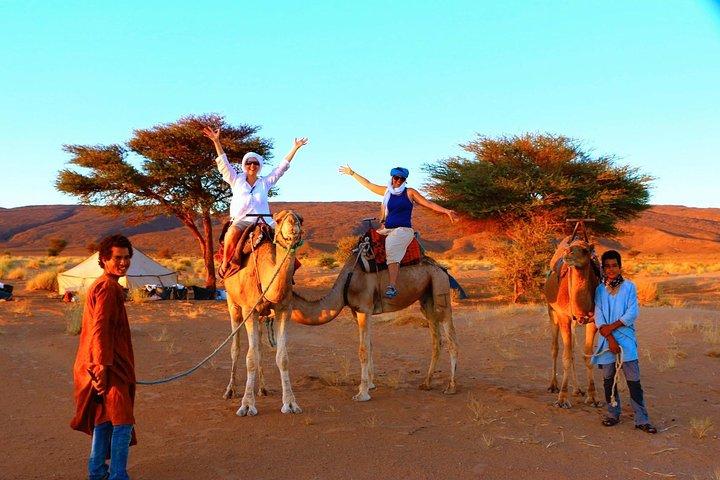 From Ouarzazate: Private 12 Days-Trekking in Draa Valley and Erg Chegaga dunes