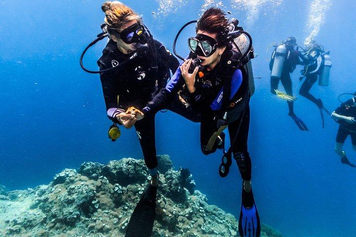Discover Scuba Diving in Tulamben - Diving Initiation in Bali best diving sites