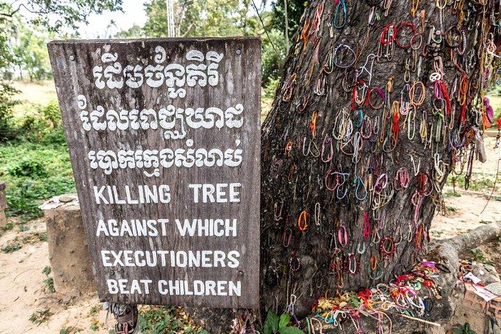 Private Half Day To Killing Field & S21 Genocidal Museum in Phnom Penh