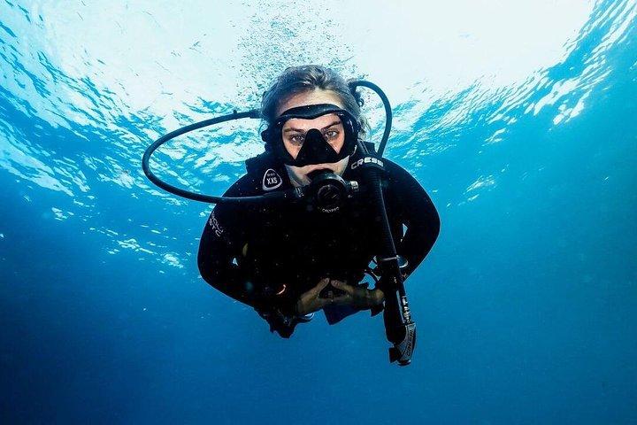 7 Fun Dives in Tulamben (for certified divers) - Premium Value Package