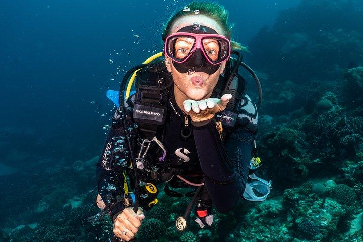 5 Fun Dives in Pemuteran (for certified divers) - Exploration in Menjangan Park