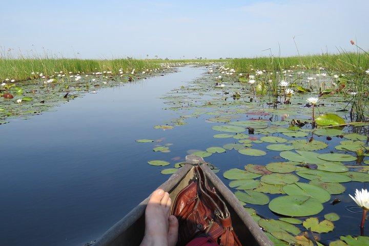2 Nights Okavango Delta Mokoro WildCamping Tour, all-inclusive