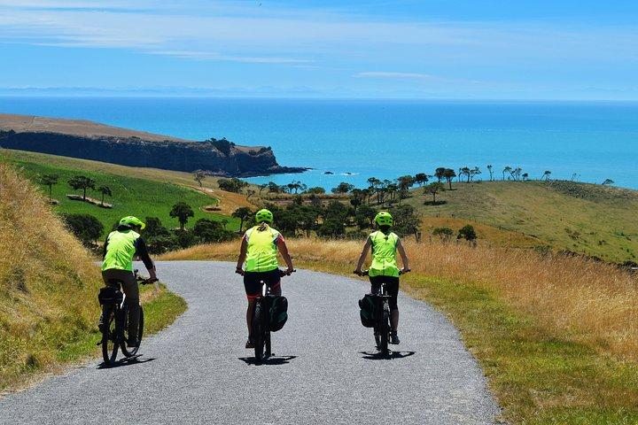 Akaroa Explorer- Guided Electric Bike Tour in Akaroa
