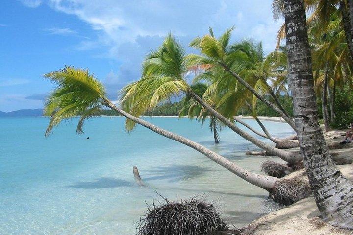 Rum and Salines paradise beach