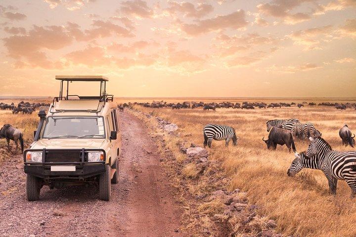 4-Day Discover Maasai Mara and Lake Nakuru Safari on 4x4 Jeep