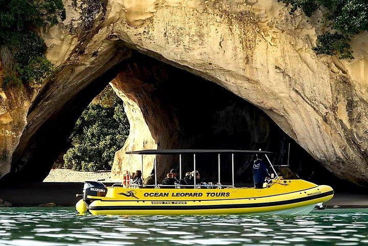 Ocean Leopard Tours - Cathedral Cove Boat Tour