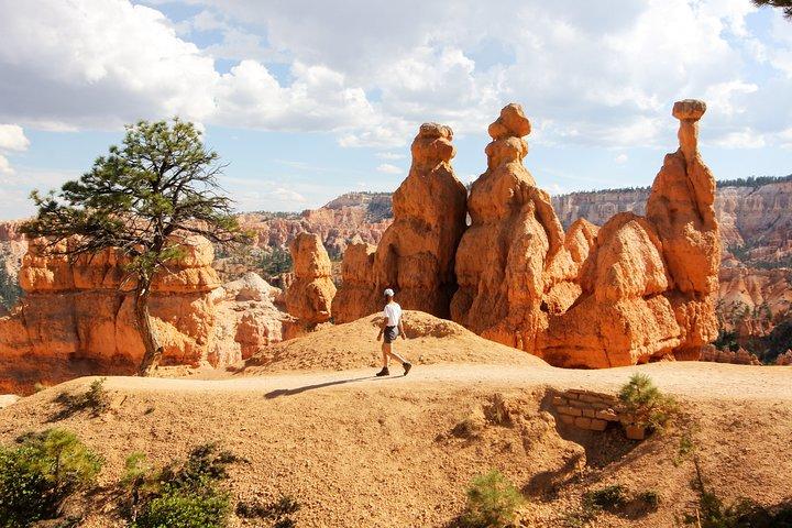 Bryce Canyon and Zion National Park Day Tour from Las Vegas
