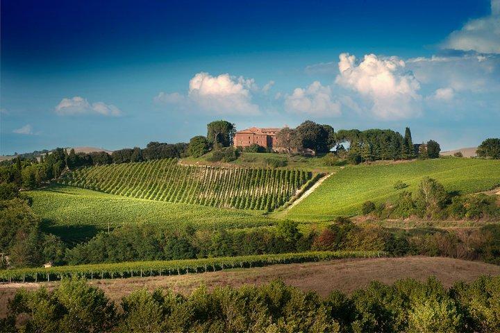 Montalcino: Brunello Wine Tasting Experience