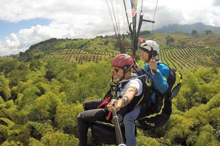 Flying Paragliding Day Trip at Buenavista