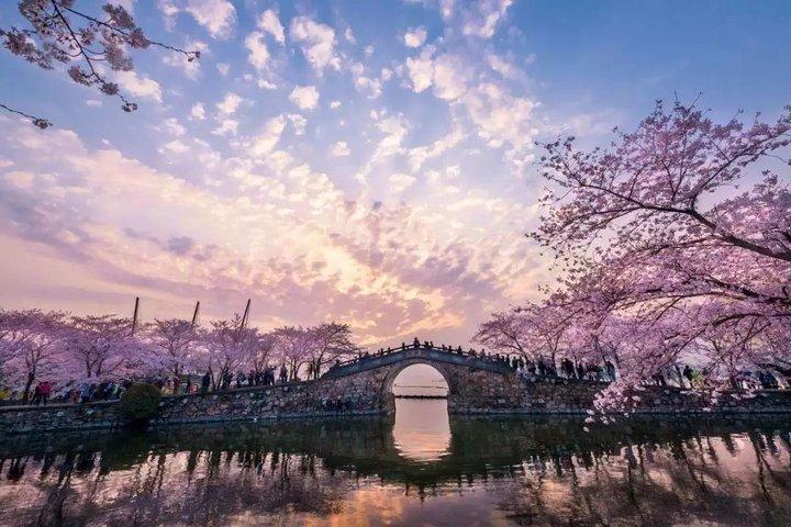 Wuxi Lingshan Buddhist Scenic Spot and Tai Lake Private Tour 