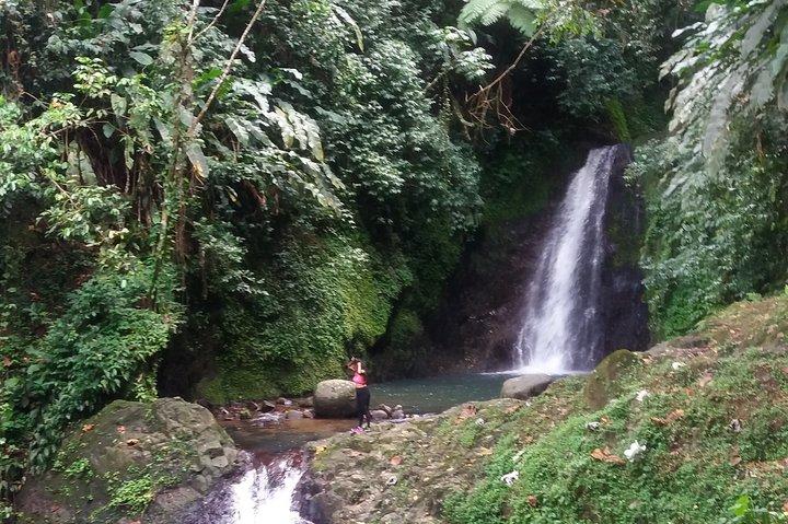 Half Day Grenada Seven Sisters, Grand Etang Nature Center Hiking Tour