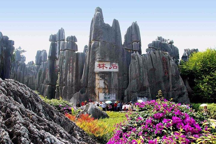 Private Tour of Stone Forest Geological Park in Kunming