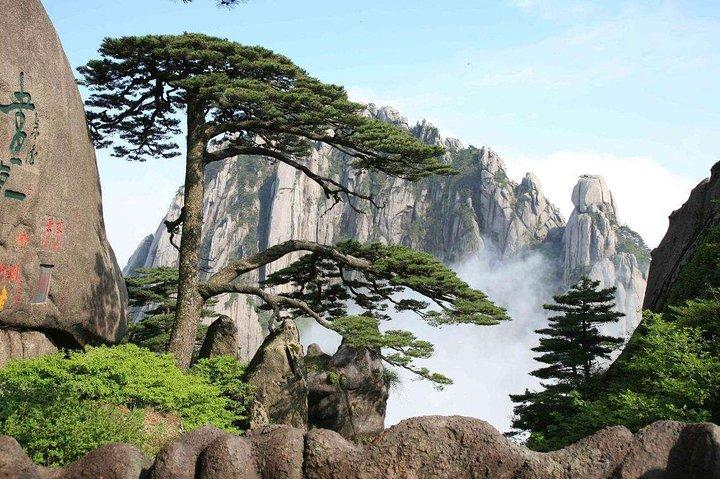 4-Day Shanghai Private Sightseeing Tour from Mount Huangshan