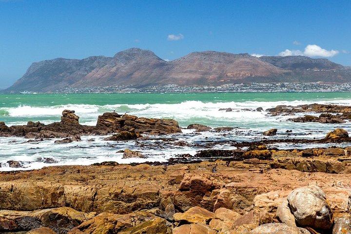 Half-Day Private Tour to Cape Peninsula with Local Guide