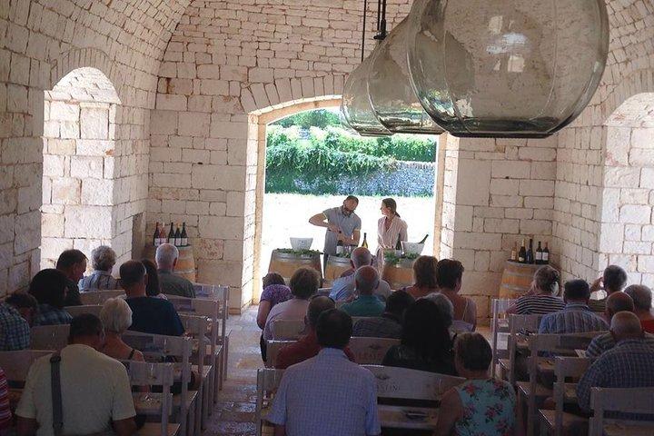 Private Wine Tour from Ostuni with Lunch including Alberobello and Locorotondo