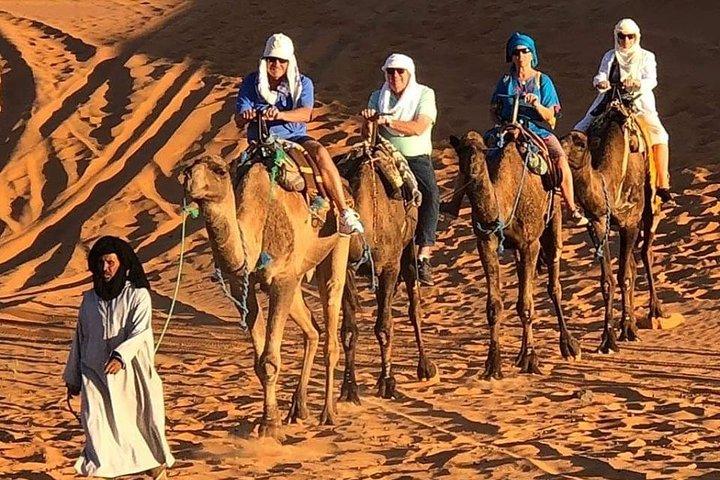 Camel ride in Agafay with dinner from Casablanca
