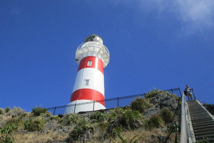 "Pinot to Palliser tour" - Guided tour to Cape Palliser vith lunch + winetasting