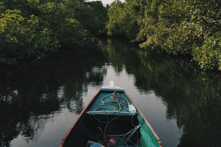 Mangrove Cruise in Cherating