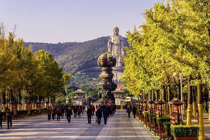 Wuxi Private Day Tour with Lingshan Buddhist Scenic Spot and Taihu Yuantouzhu