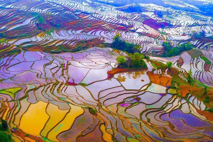 2-Day Private Photography Tour to Yuanyang Rice Terrace from Kunming