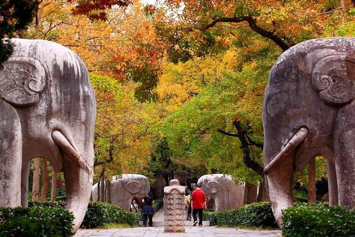 4-Hour Nanjing Private Tour: Xiaoling Tomb, Ming City Wall and Memorial Hall 