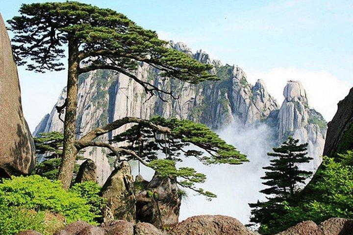  All Inclusive Huangshan Mountain and Xidi Village Private Efficient Day Tour 