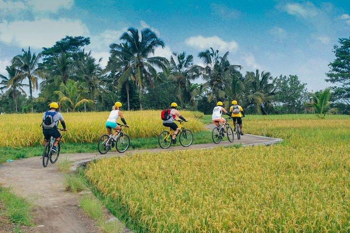 Bali Countryside Cycling Tour - Sharing Transport