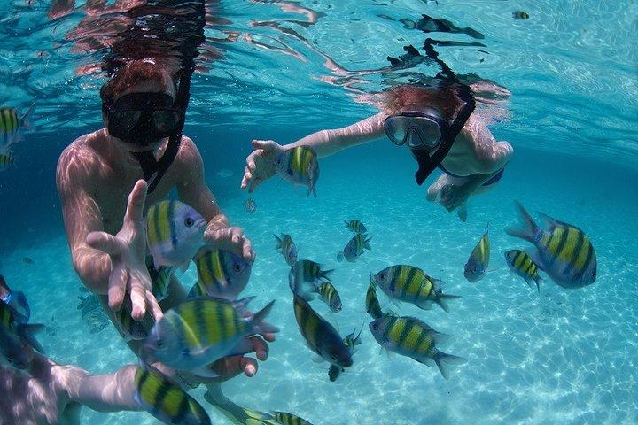 Costa Maya Snorkel Tour