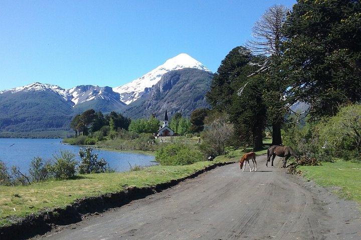 Tour of the Lanin Volcano and Huechulafquen Lake