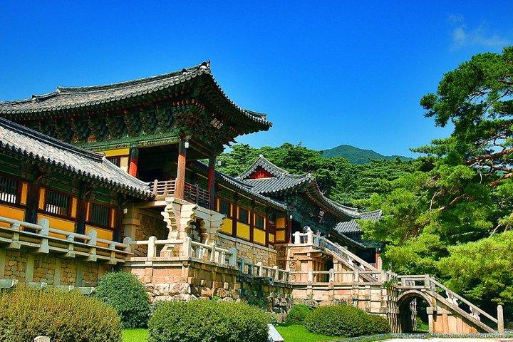 Gyeongju Private Tour with hidden gem by local tour guide