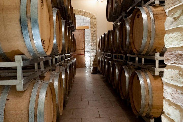 Live Online Experience: Montepulciano d'Abruzzo.