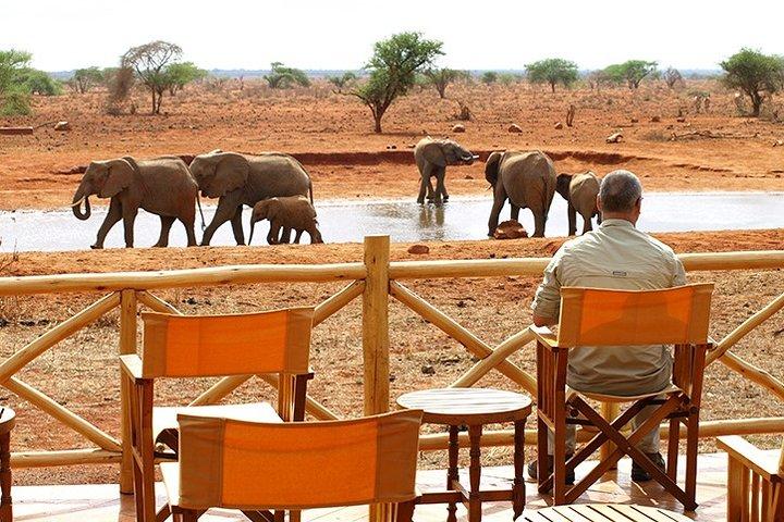 1 Day Ngutuni Wildlife Conservancy Day Trip (Cost Based on Minimum 2 persons)