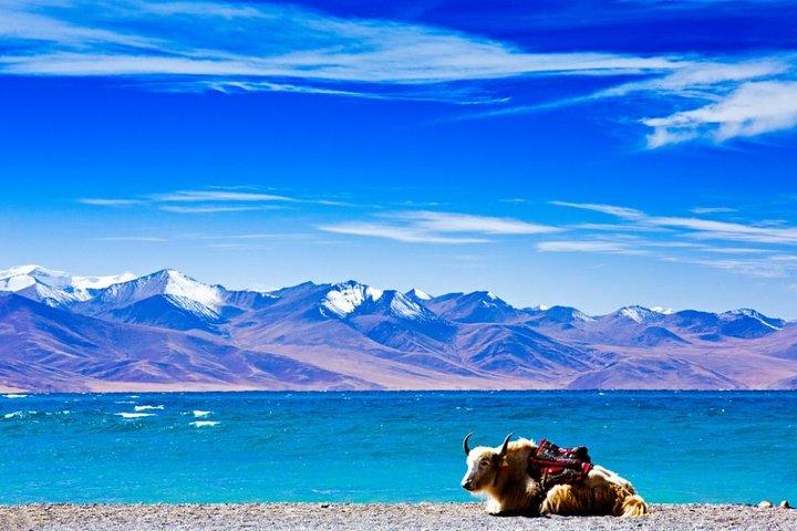 6-Day Small Group Lhasa City and Holy Lake Namtso Tour from Guiyang