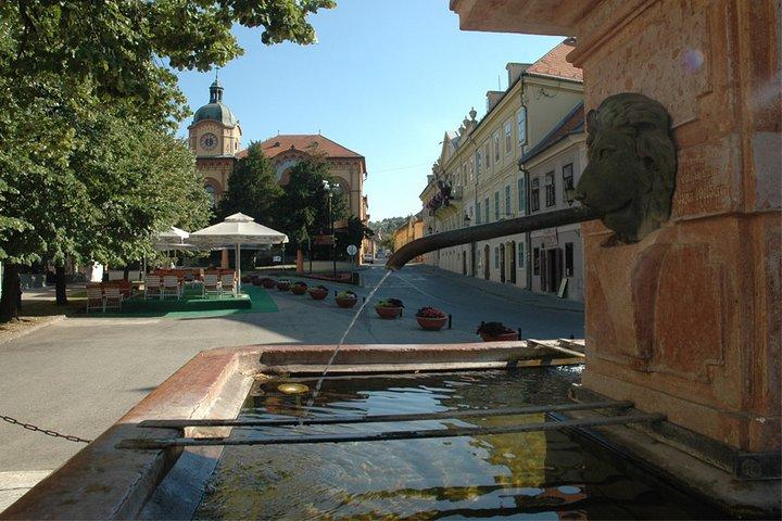 Private Day Tour to Fruska Gora Monasteries, Sremski Karlovci and Novi Sad