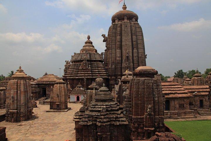 Bhubaneshwar to Nagpur: Temples, Tribal Villages and Tiger Safari