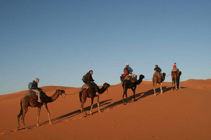 1 night bivouac Erg Chebbi Dunes from Todra Gorge - Aventures Verticales Maroc