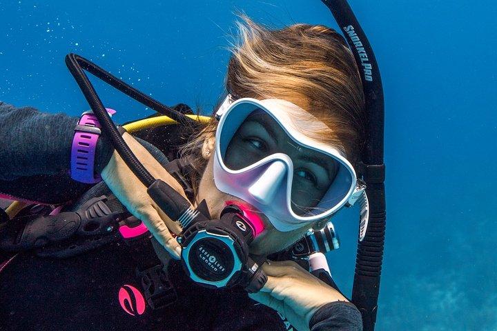 Discover Scuba Diving in Palamos
