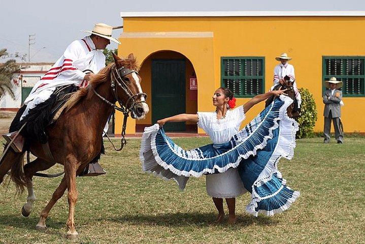 Show of Peruvian Paso Horse & Marinera with lunch
