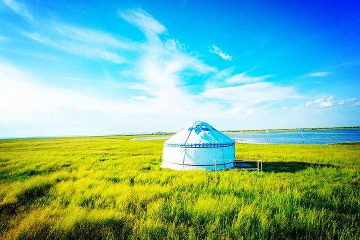 Inner Mongolia 2 Full Days Tour to Grassland and Hohhot