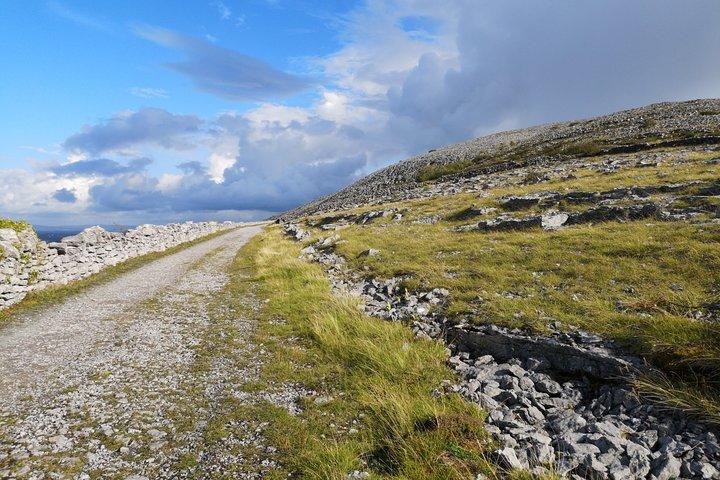 The Burren and Cliffs of Moher Full Day Private Tour from Galway