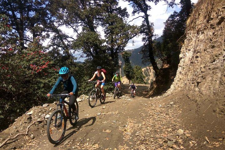 9-Day Himalaya Mountain Bike Tour from Shimla to Daramshala