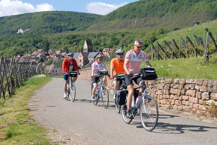 Through Alsace Vineyards and Wine Villages Private Bike Tour