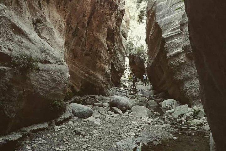 Jeep Safari to Akamas National Park: Avakas Gorge Tour from Paphos