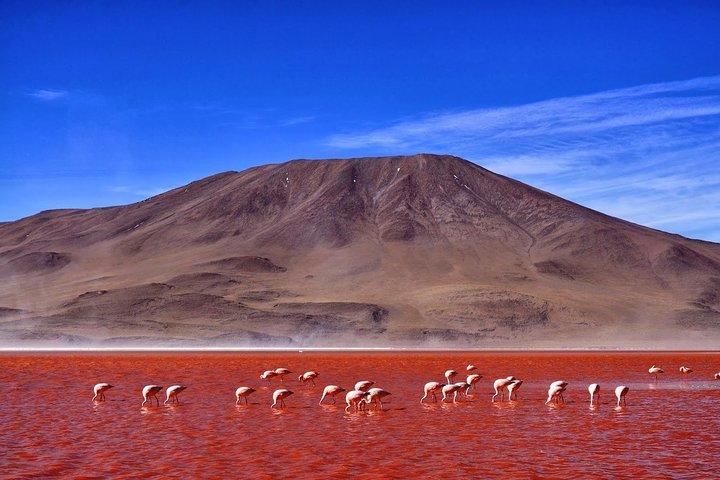6-Days Discovering 2 of the World's Largest Salt Flats, Atacama & Uyuni 