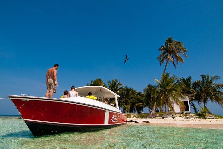 Snorkel the Perfect Tropical Isle Silk Caye with Turtles, Rays and Sharks