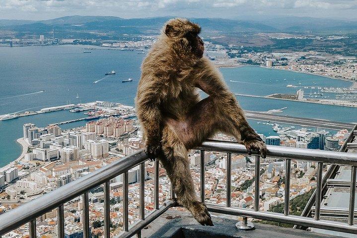 Exciting full day private excursion of Gibraltar
