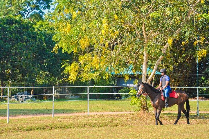 Horse Riding for Professionals in Dambulla